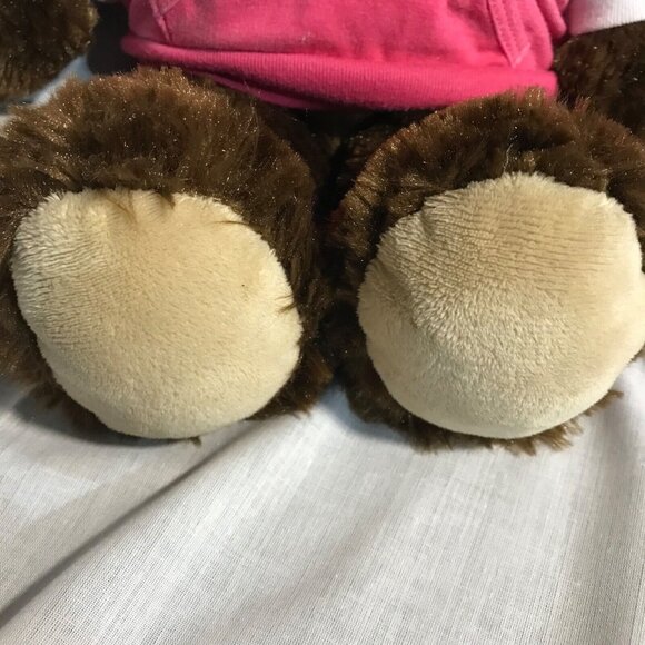 Build A Bear Workshop Brown Teddy Bear In Pink Hoodie Plush Toy 14" - Picture 5 of 16